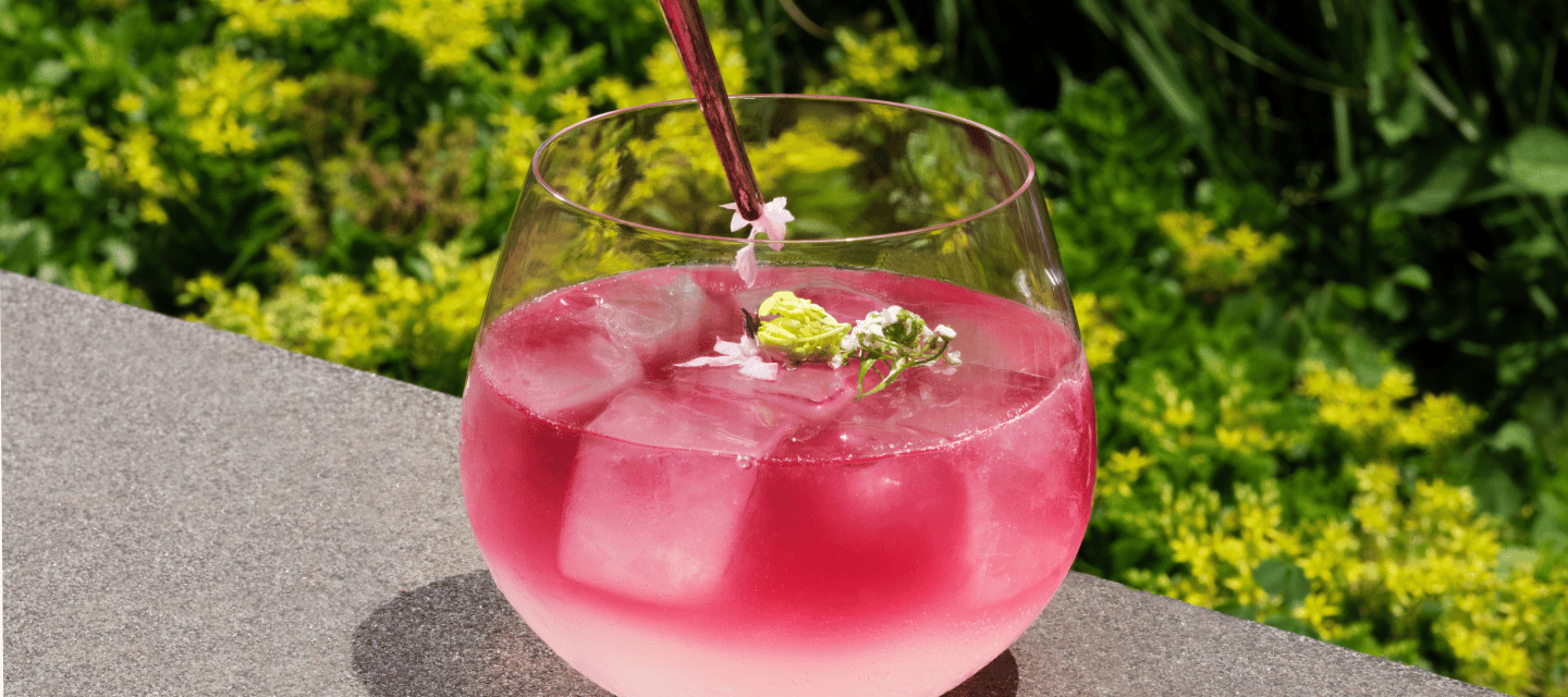 pink cocktail at genesis house